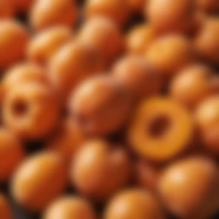 Illustration showcasing the vitamins and antioxidants in apricots