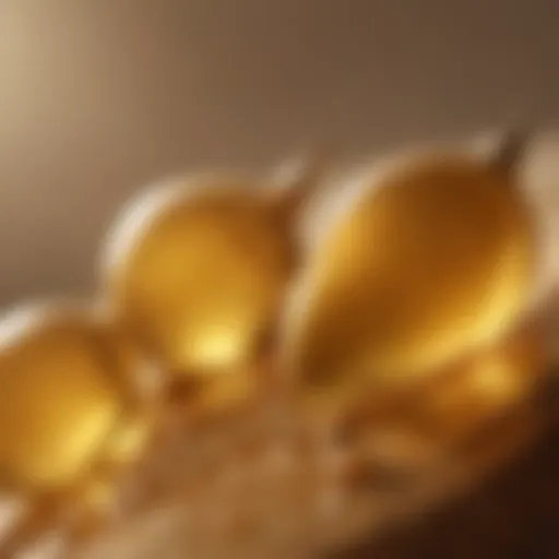 A close-up view of argan oil droplets glistening in sunlight, symbolizing natural beauty.