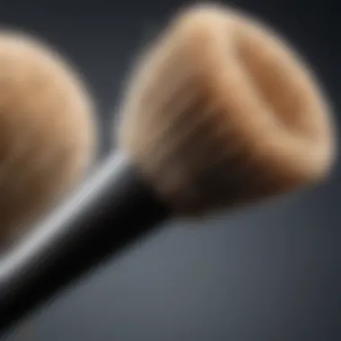 Brushes used for dry brushing technique