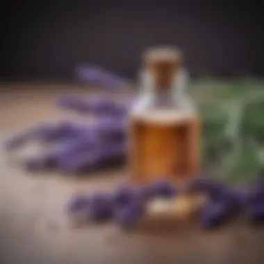 Lavender oil mixed with natural skin care ingredients