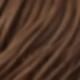 Close-up of healthy hair strands