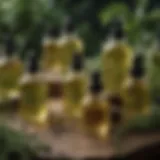 A selection of various hair oils in glass bottles surrounded by fresh herbs